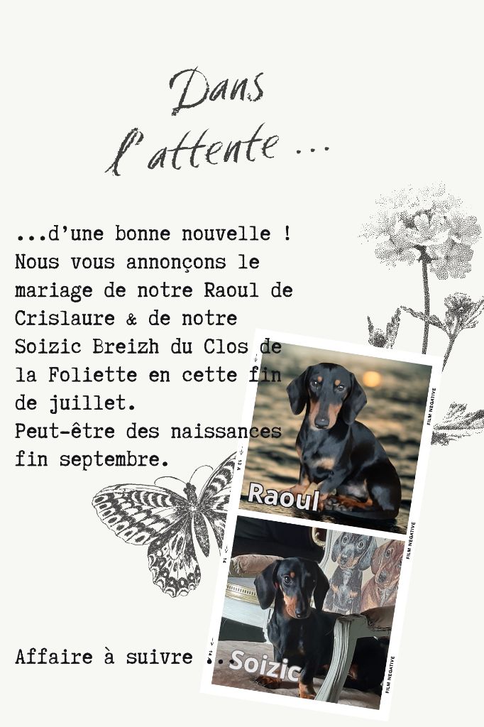 Croisons les doigts ...